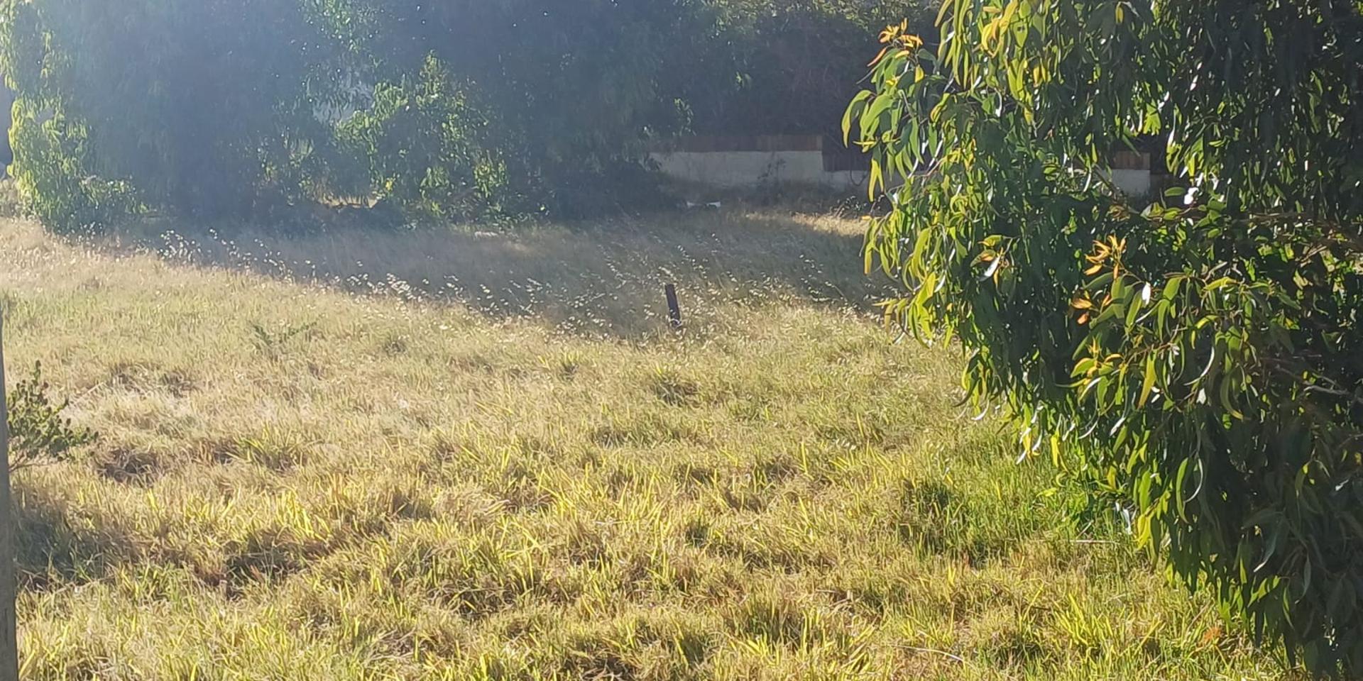 Image 4 of 6