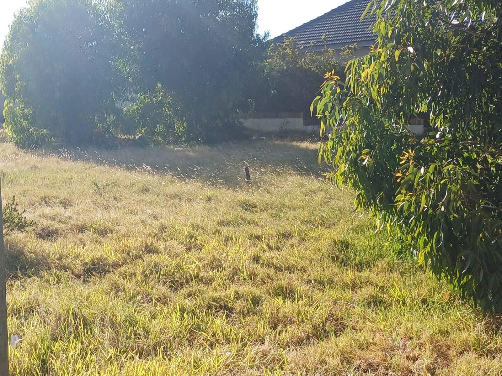 Image 4 of 6