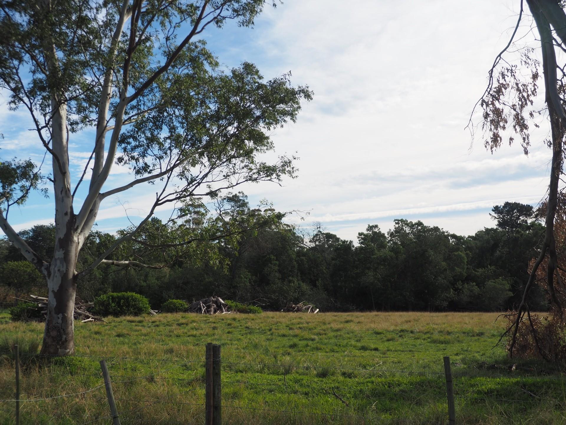 Image 15