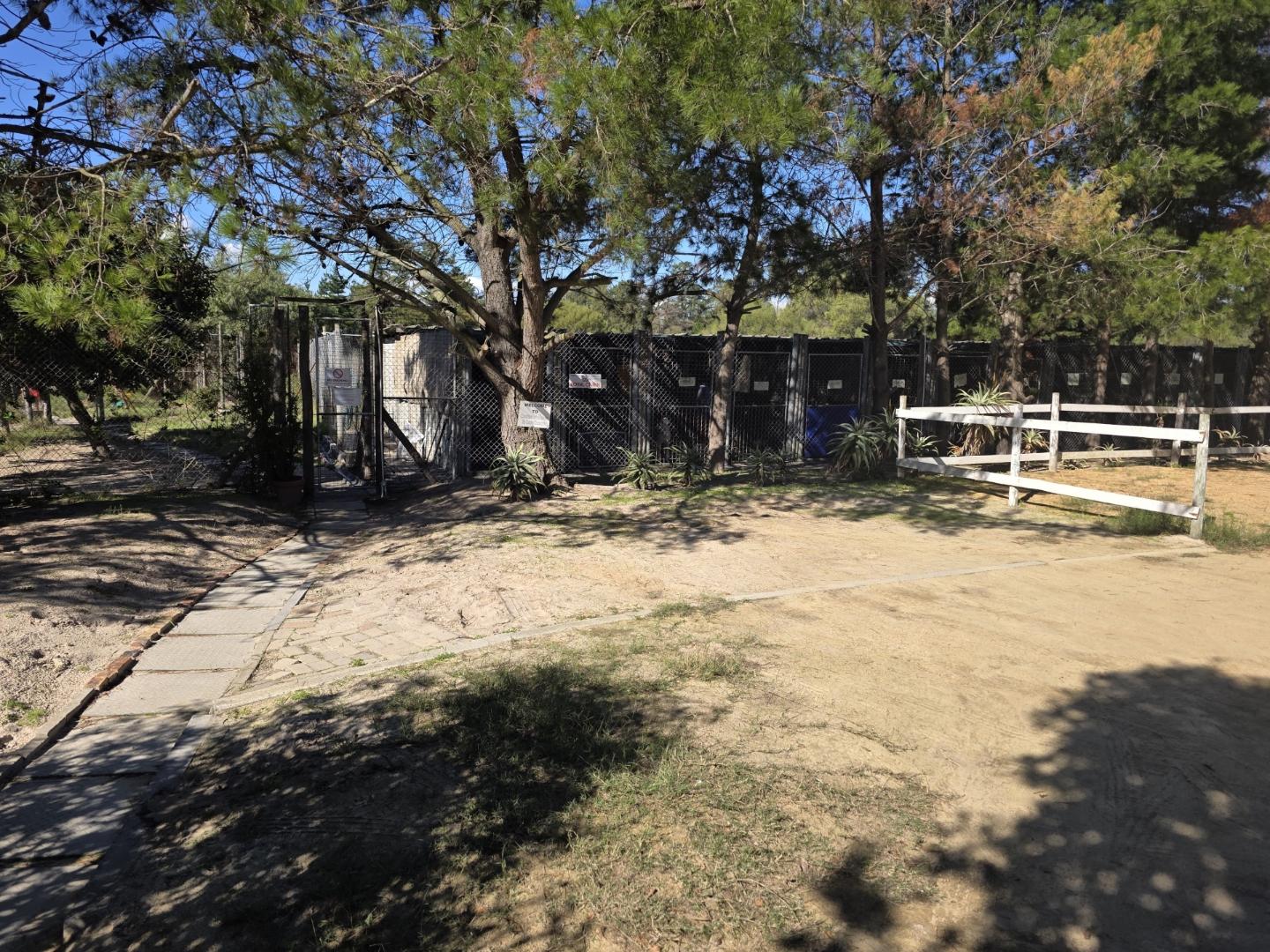 Image 4 of 6