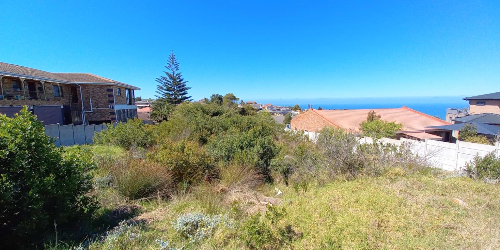 Image 4 of 6