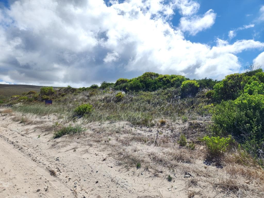 Image 4 of 6