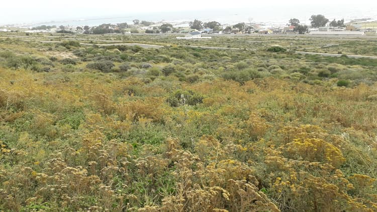 Main property image