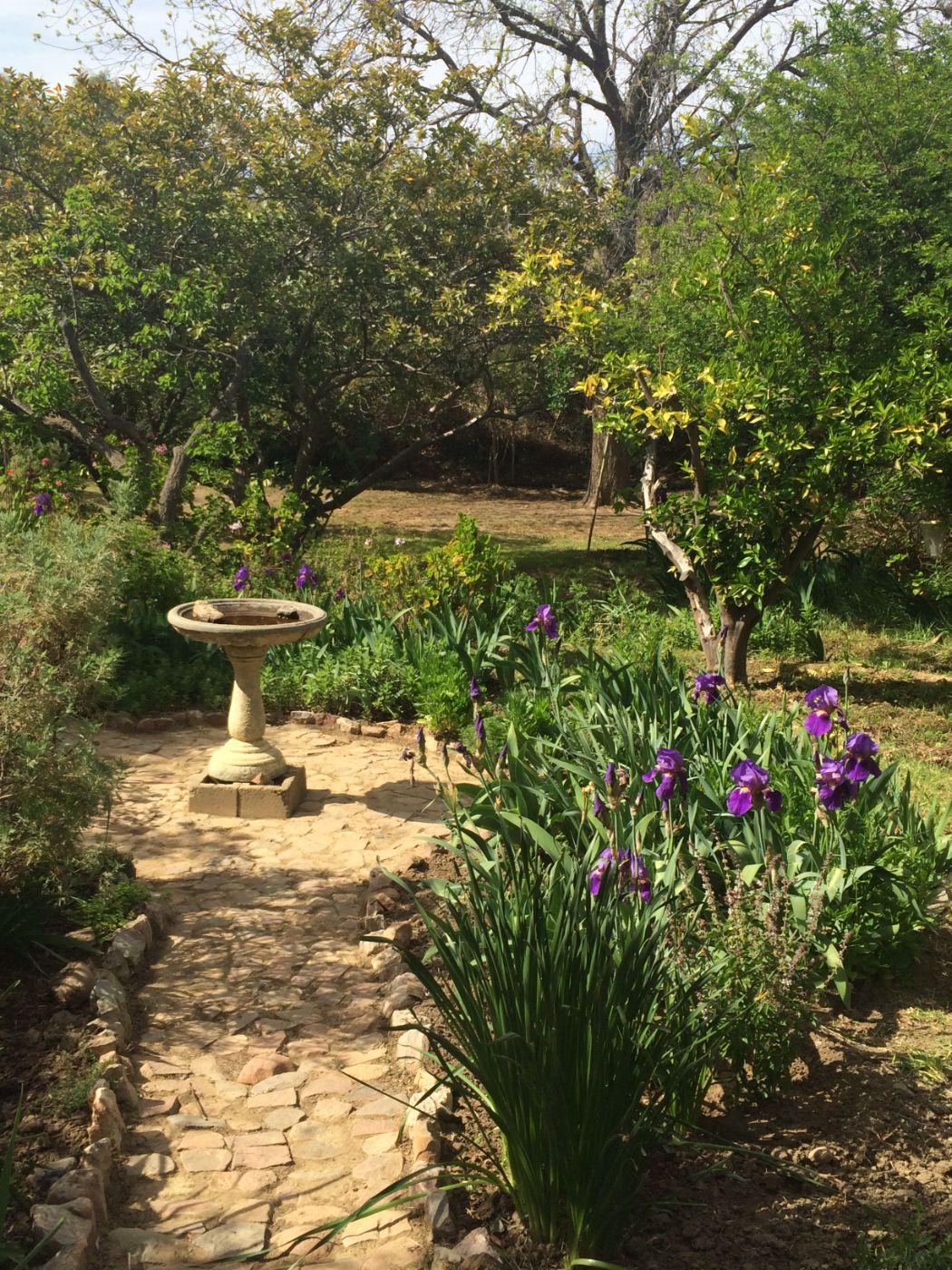 Image 21