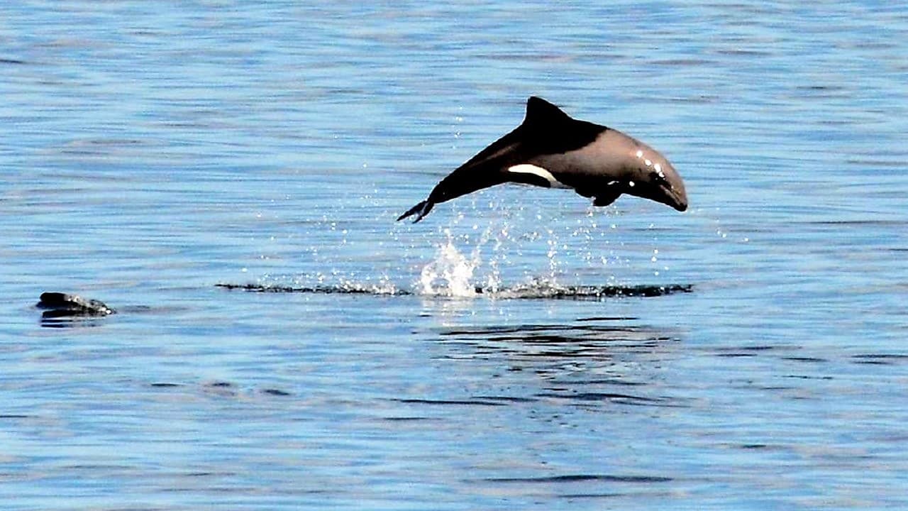 Image 35