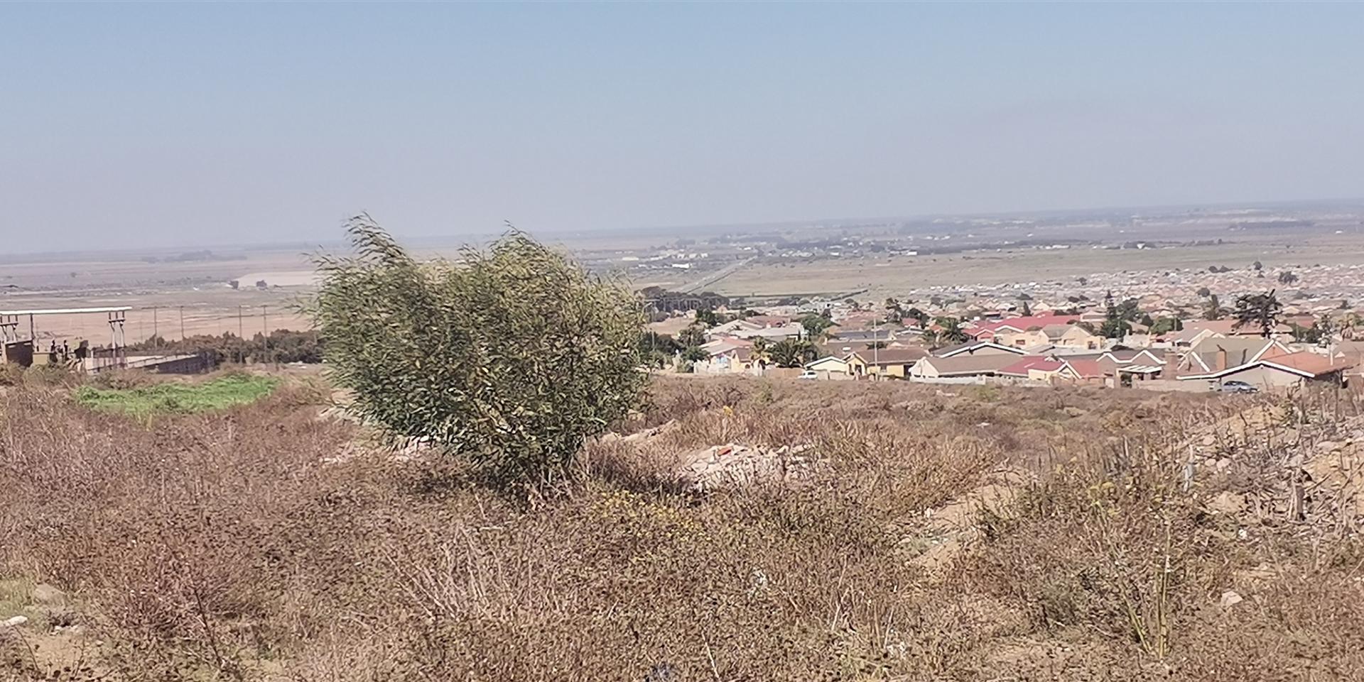 Image 4 of 6