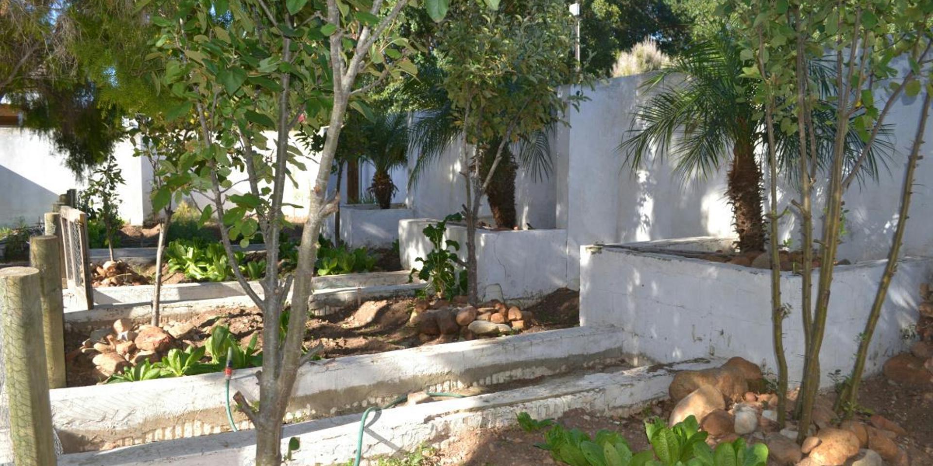 Image 4 of 6