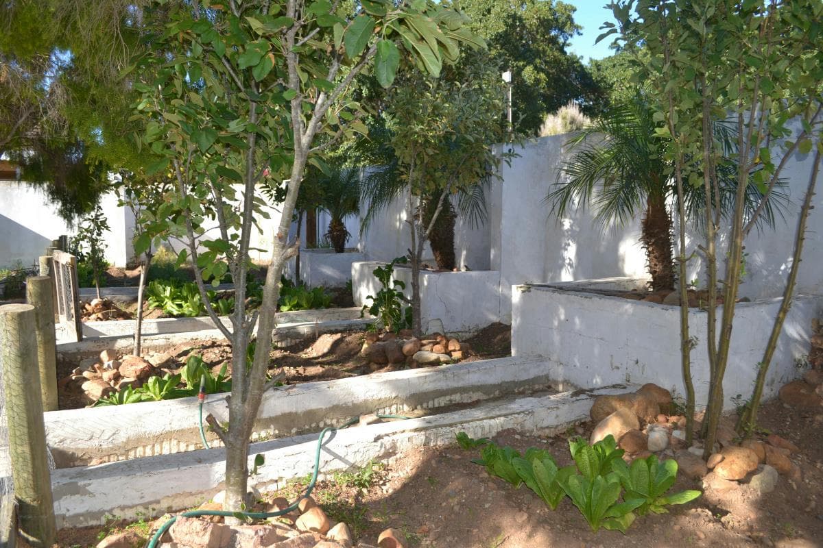 Image 4 of 6
