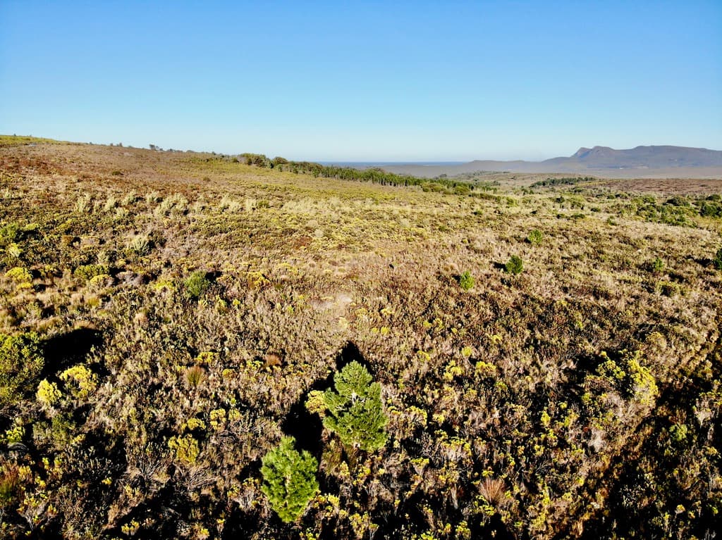 Image 17