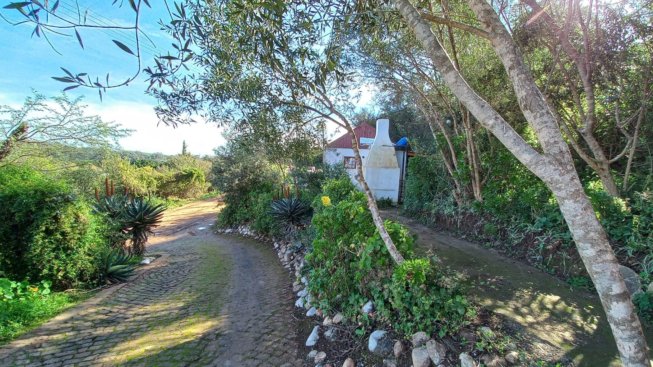 Image 60