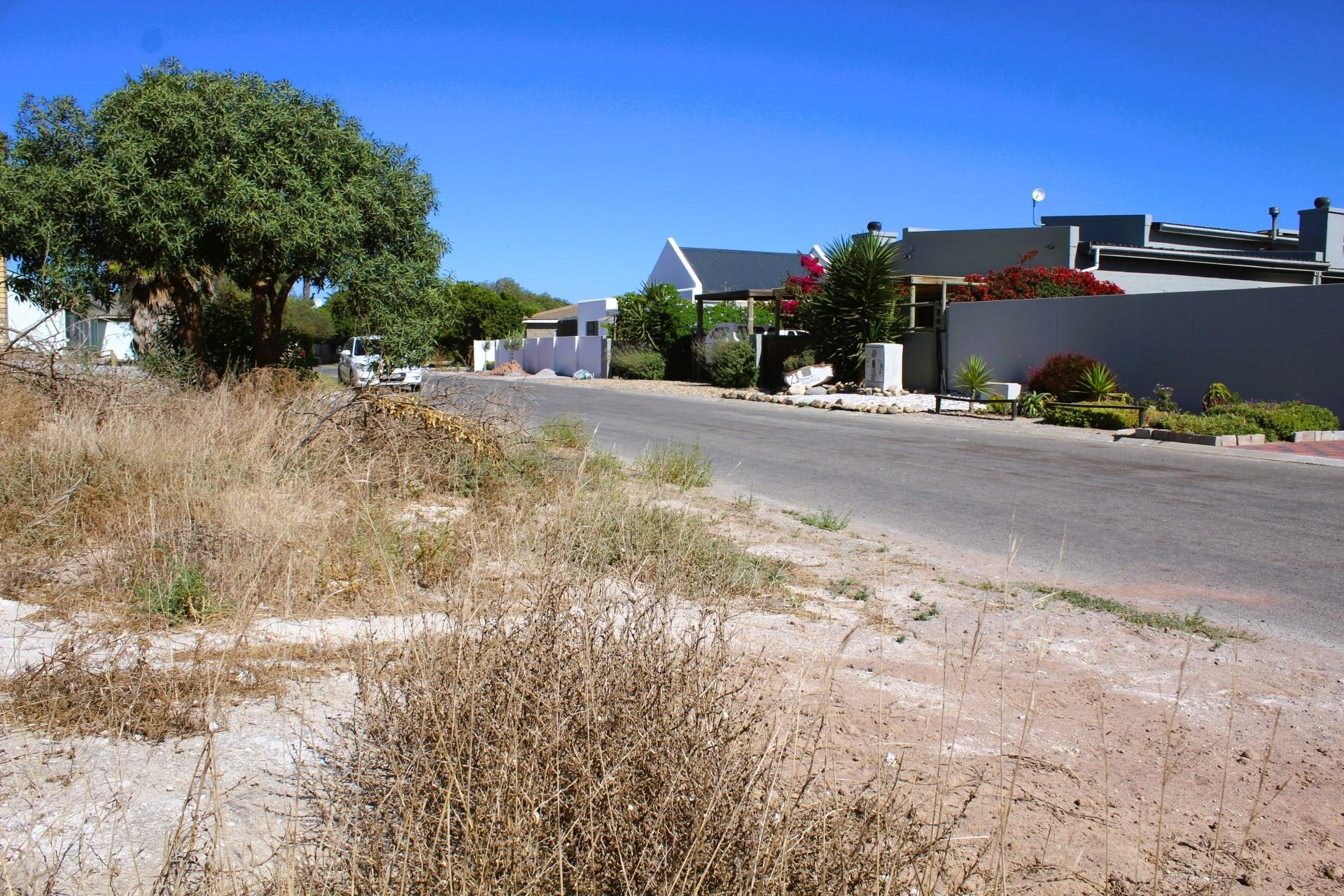 Image 10