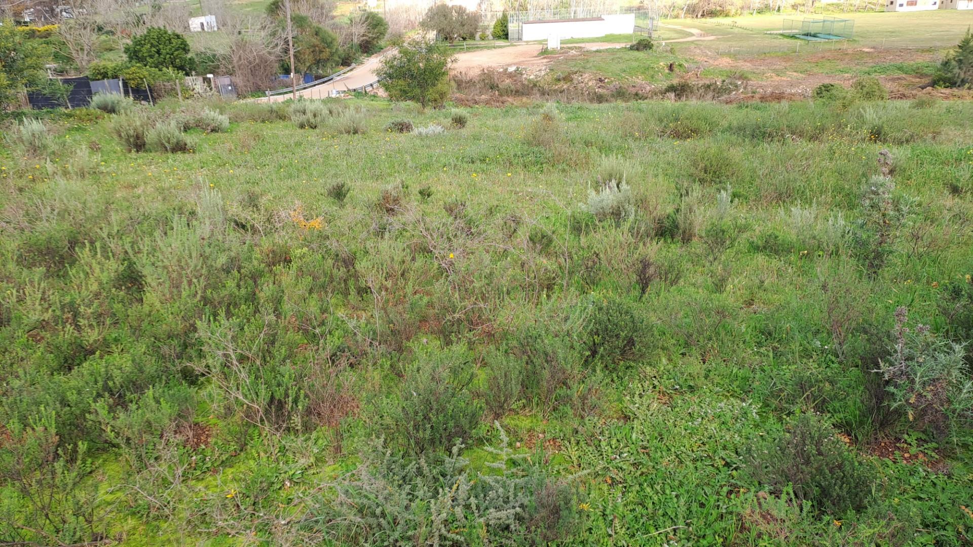 Image 5 of 6