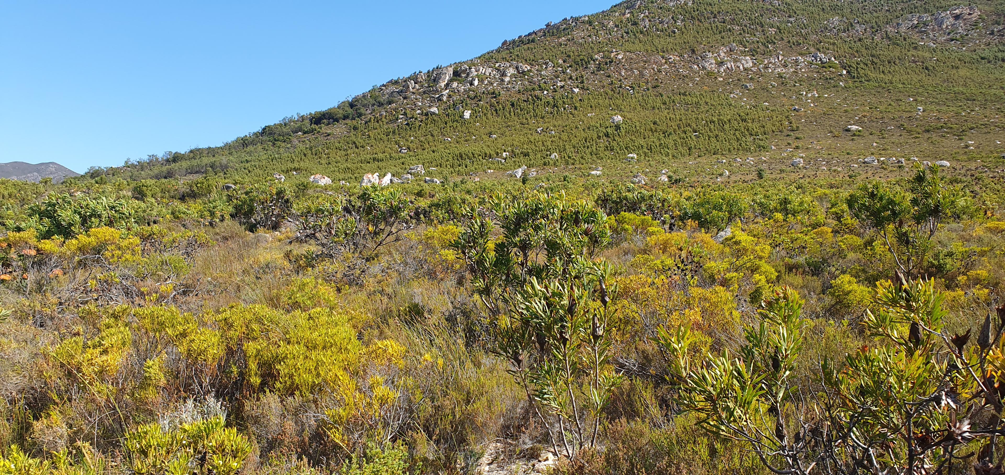 Image 80