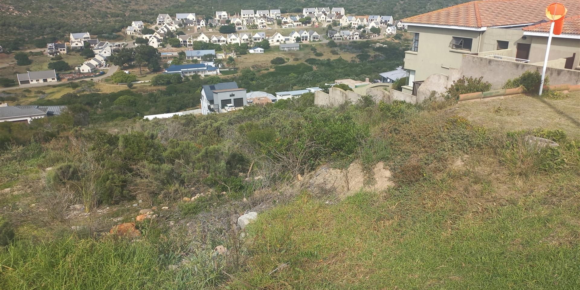 Image 5 of 6