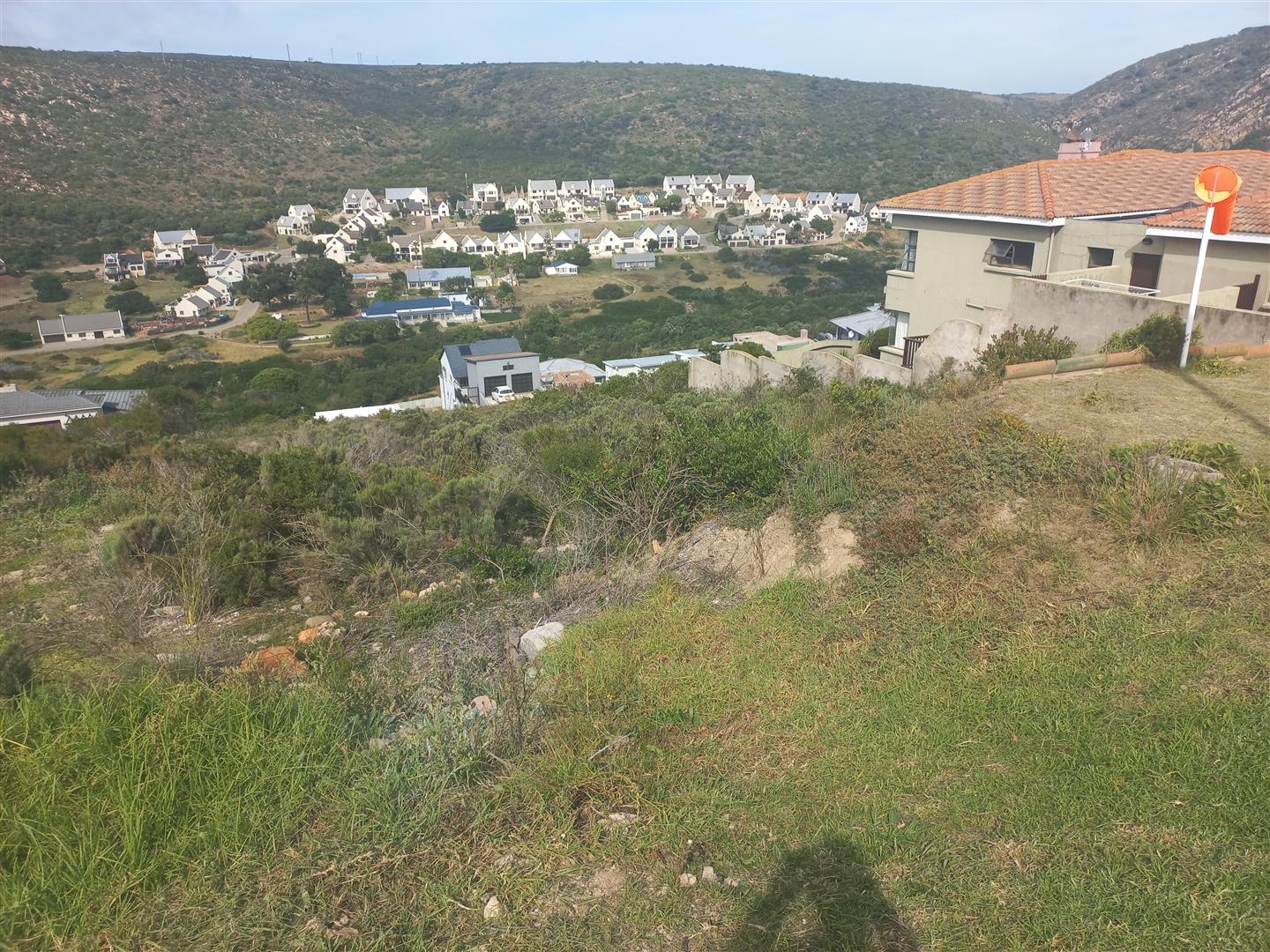 Image 5 of 6