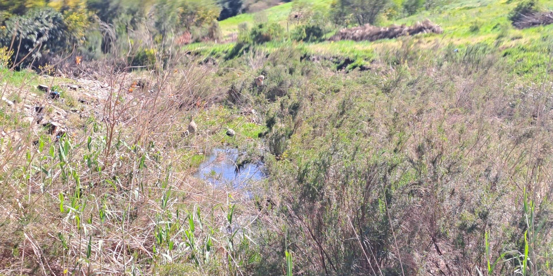 Image 2 of 6