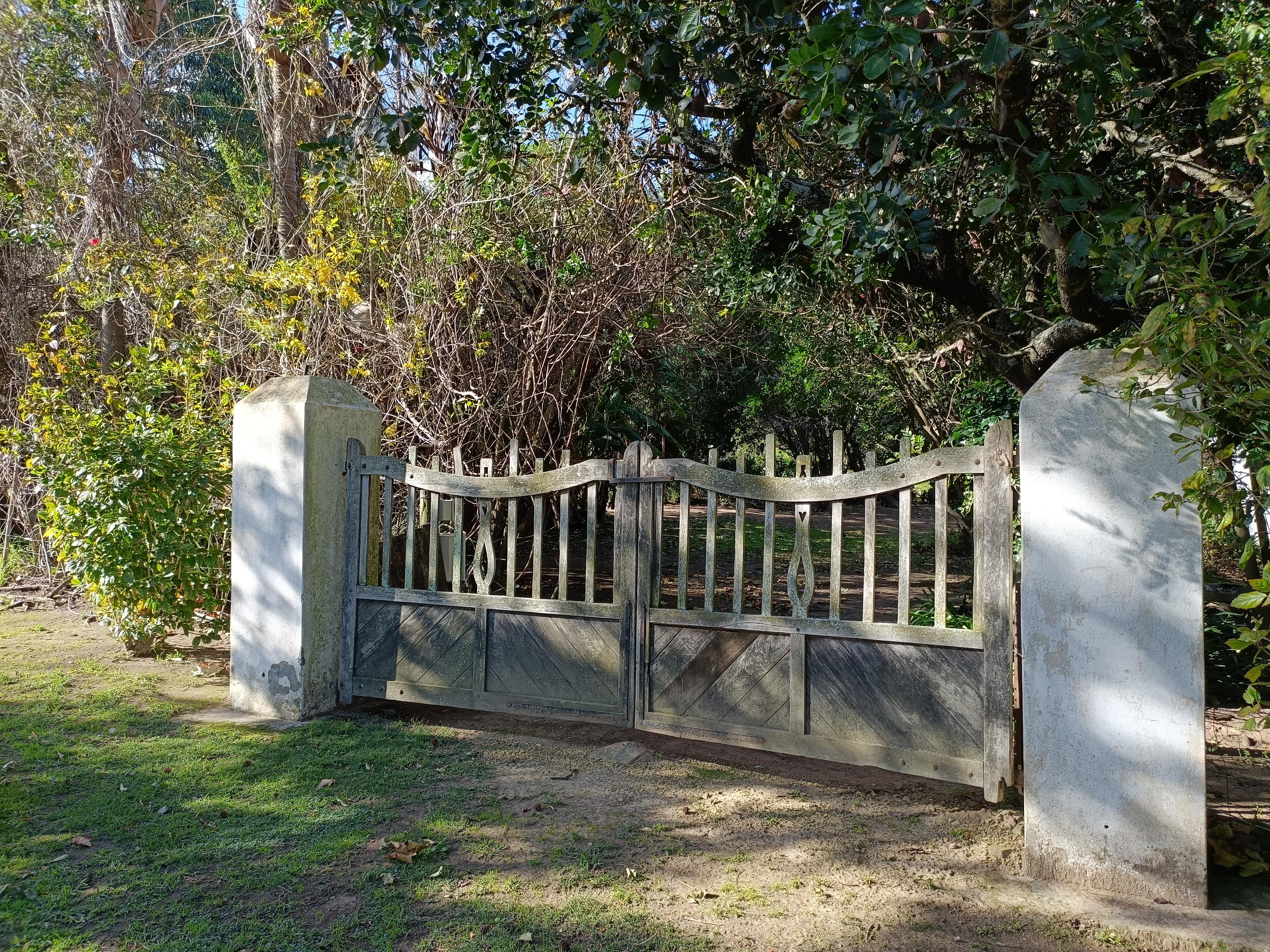 Image 7