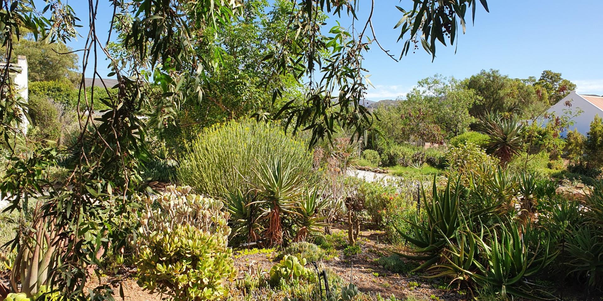 Image 2 of 6