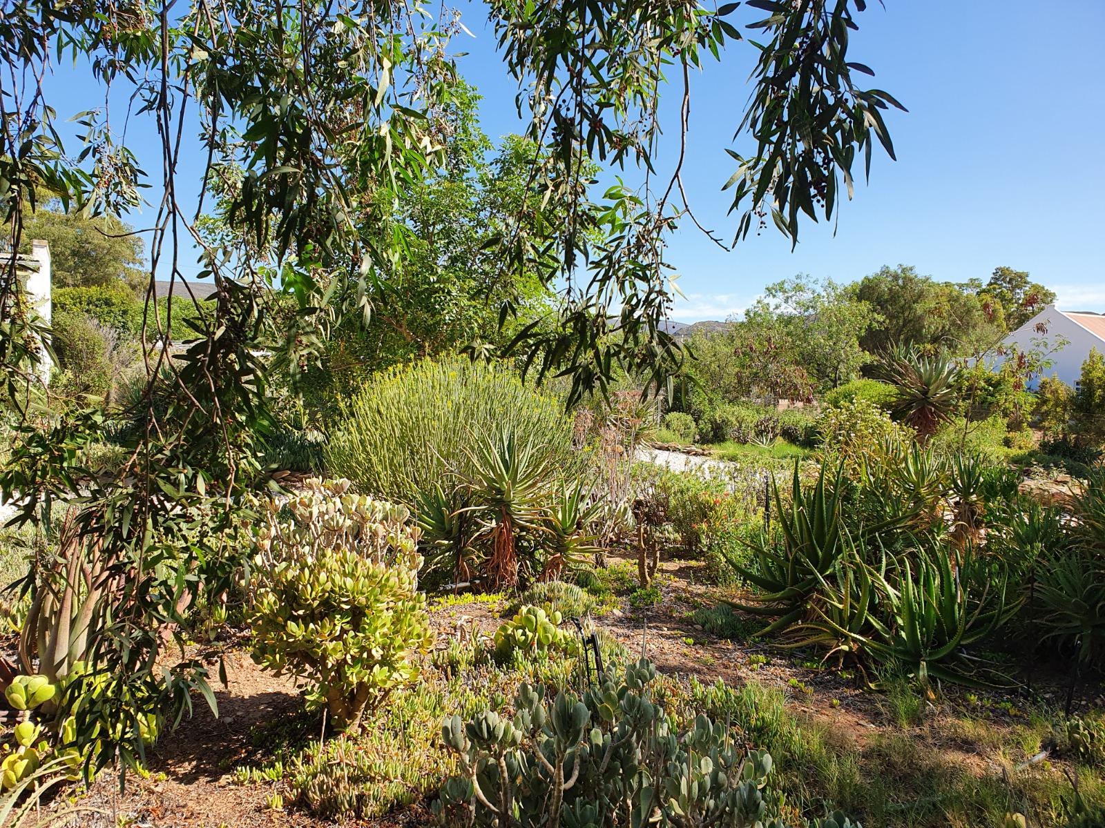 Image 2 of 6