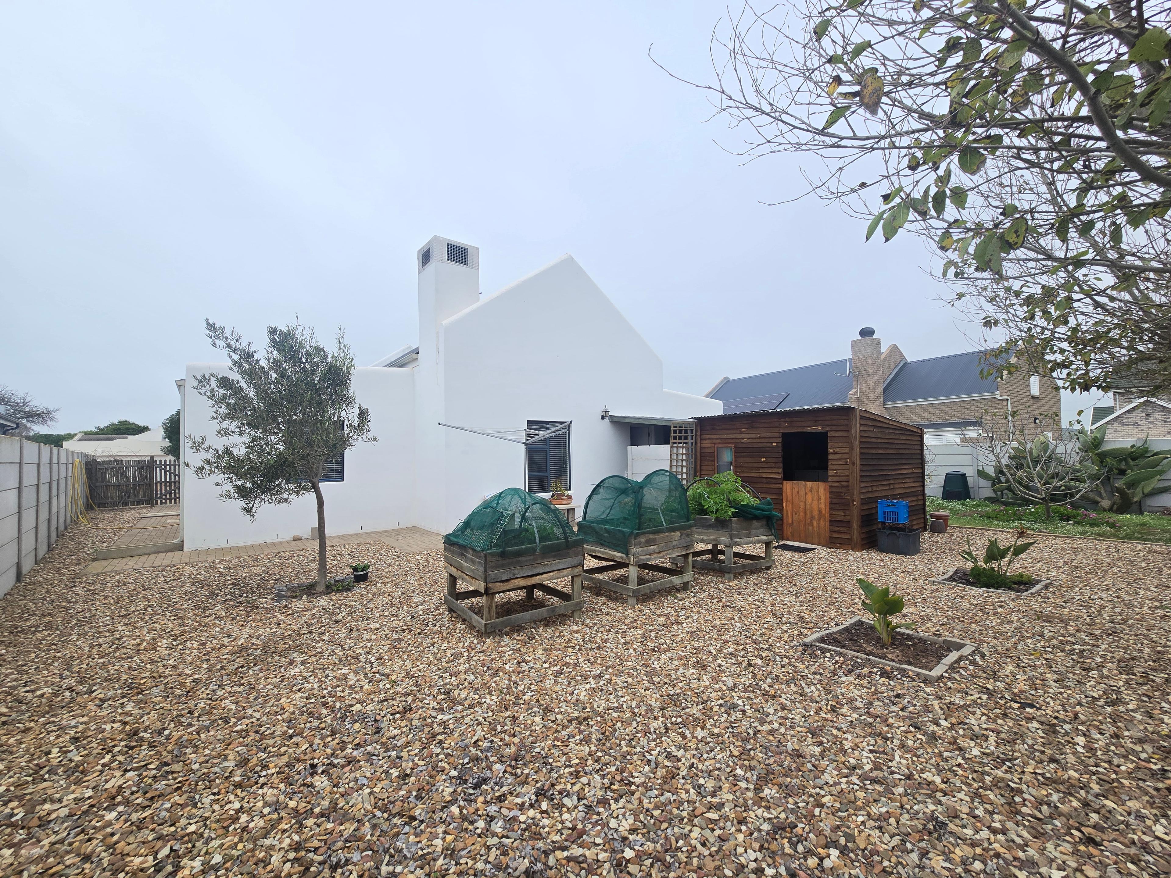 Image 37