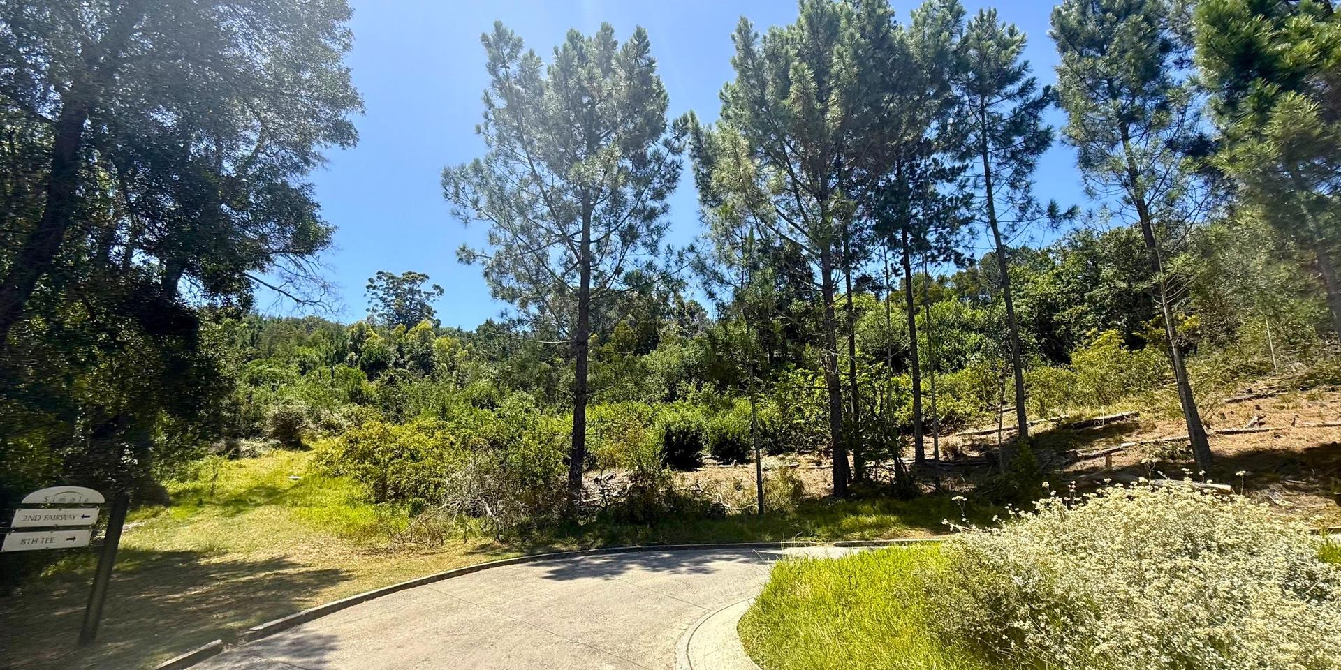 Image 2 of 6