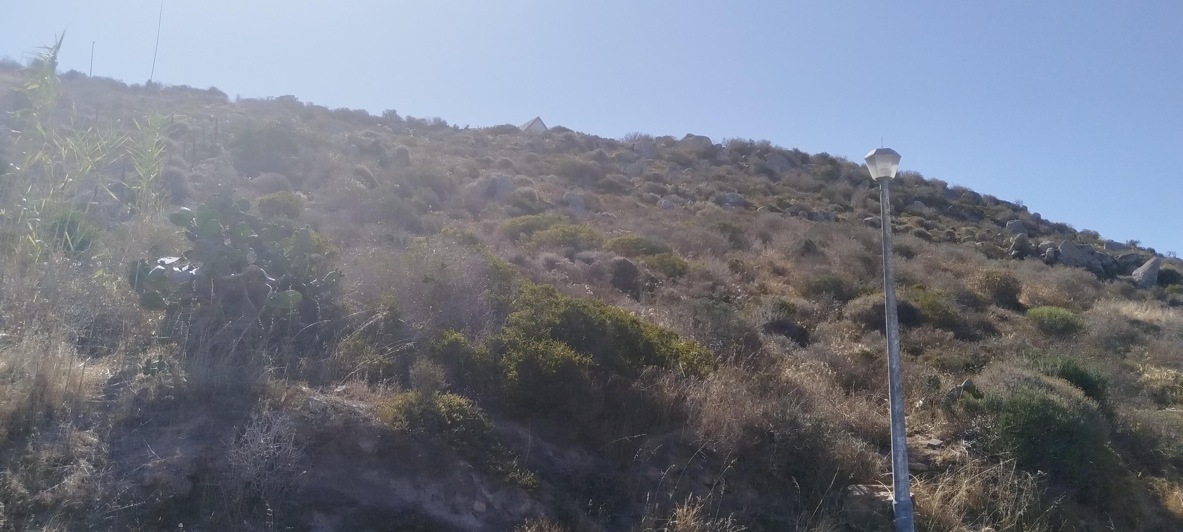 Image 15