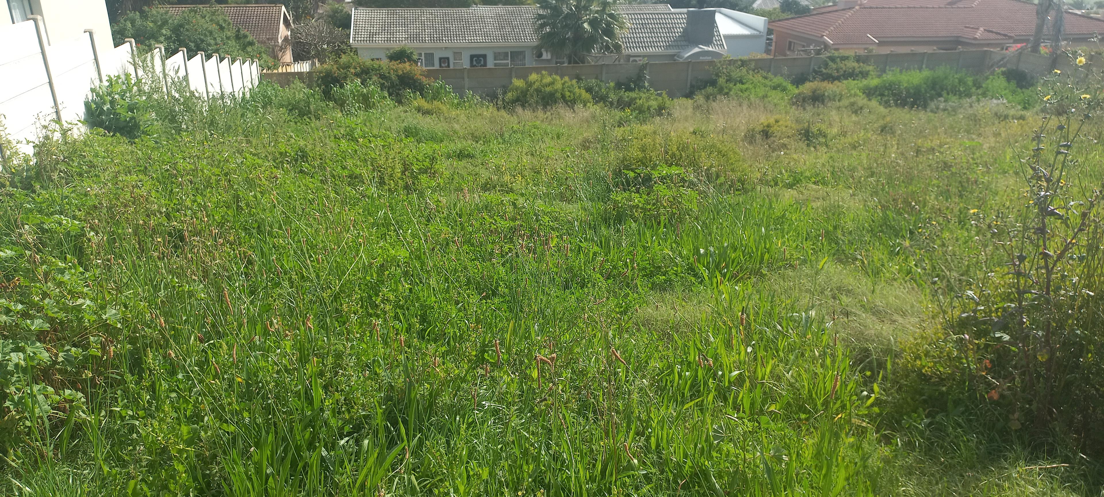 Image 13