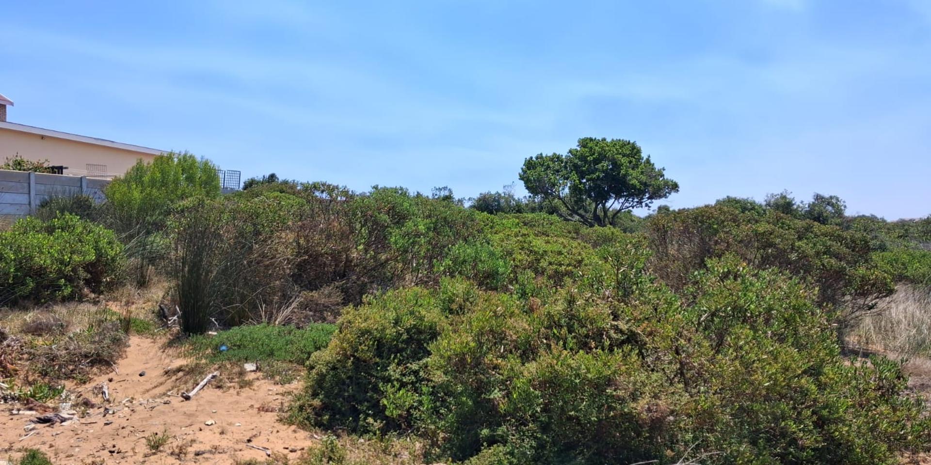 Image 5 of 6