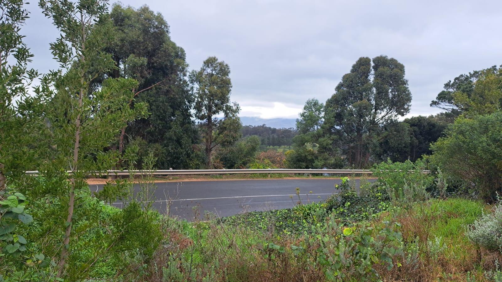 Image 13