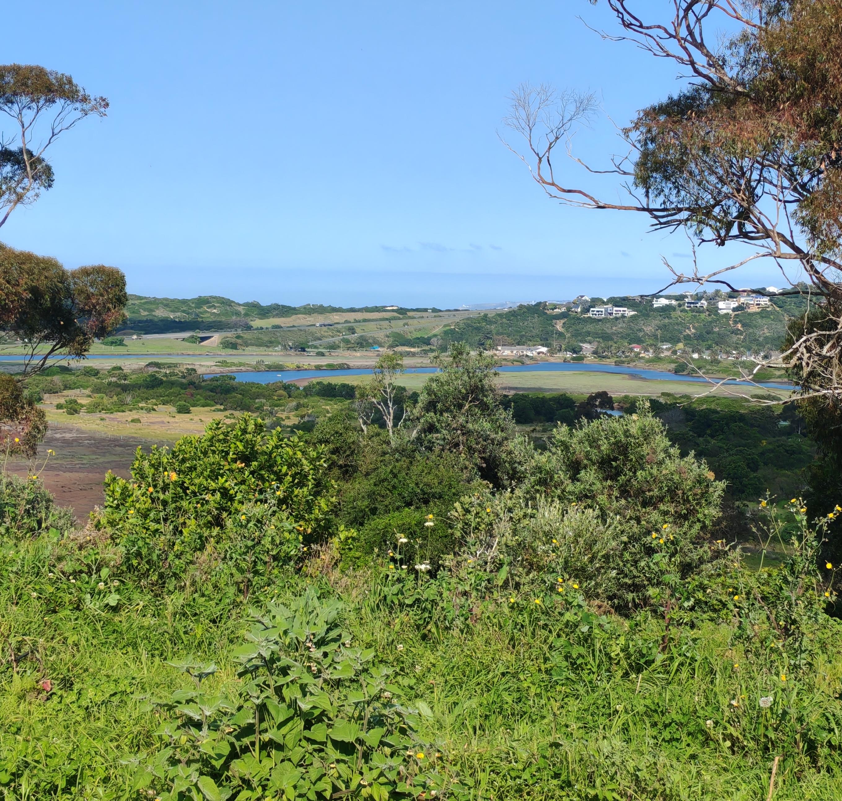 Image 2 of 6