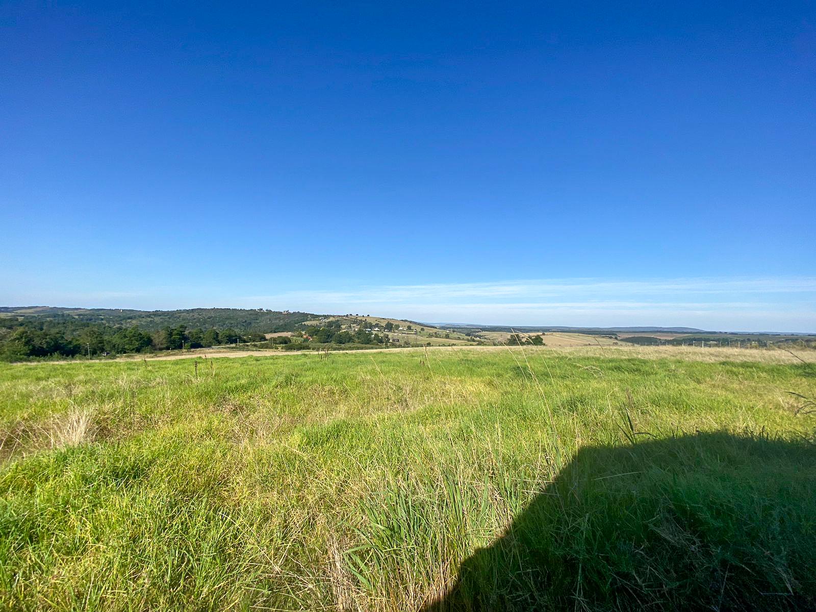 Image 65
