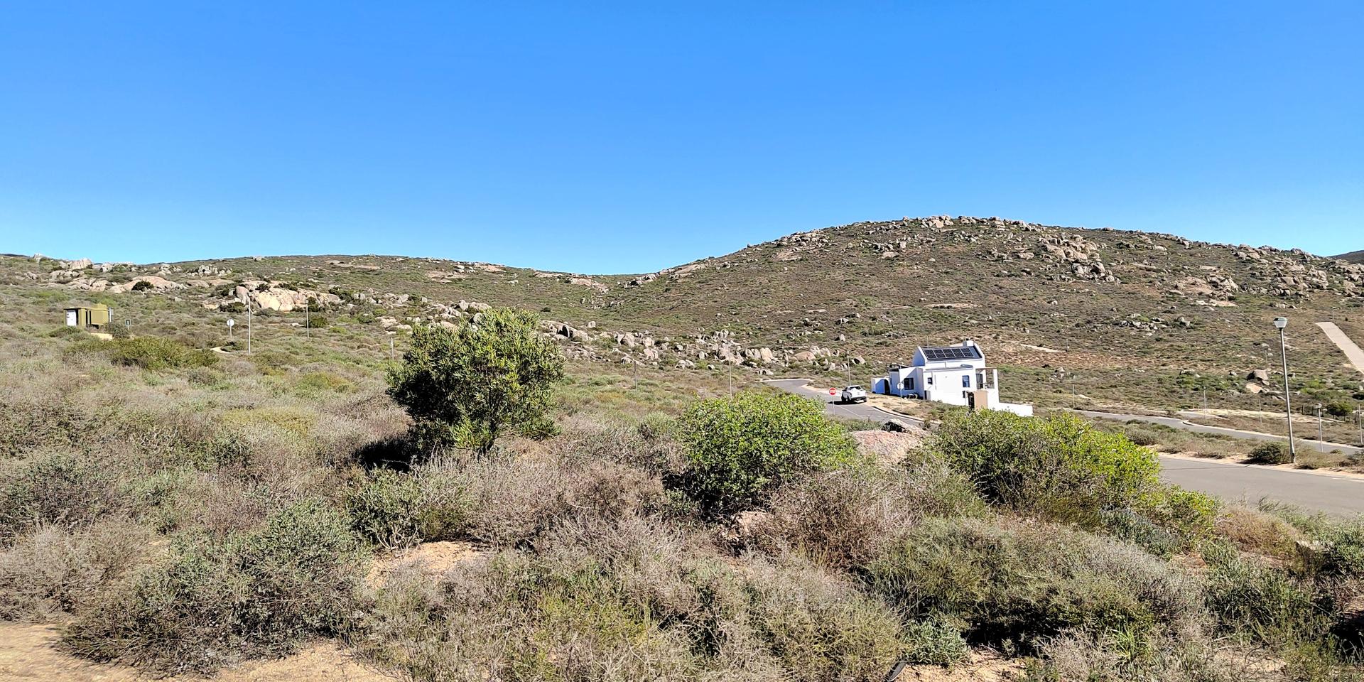 Image 4 of 6