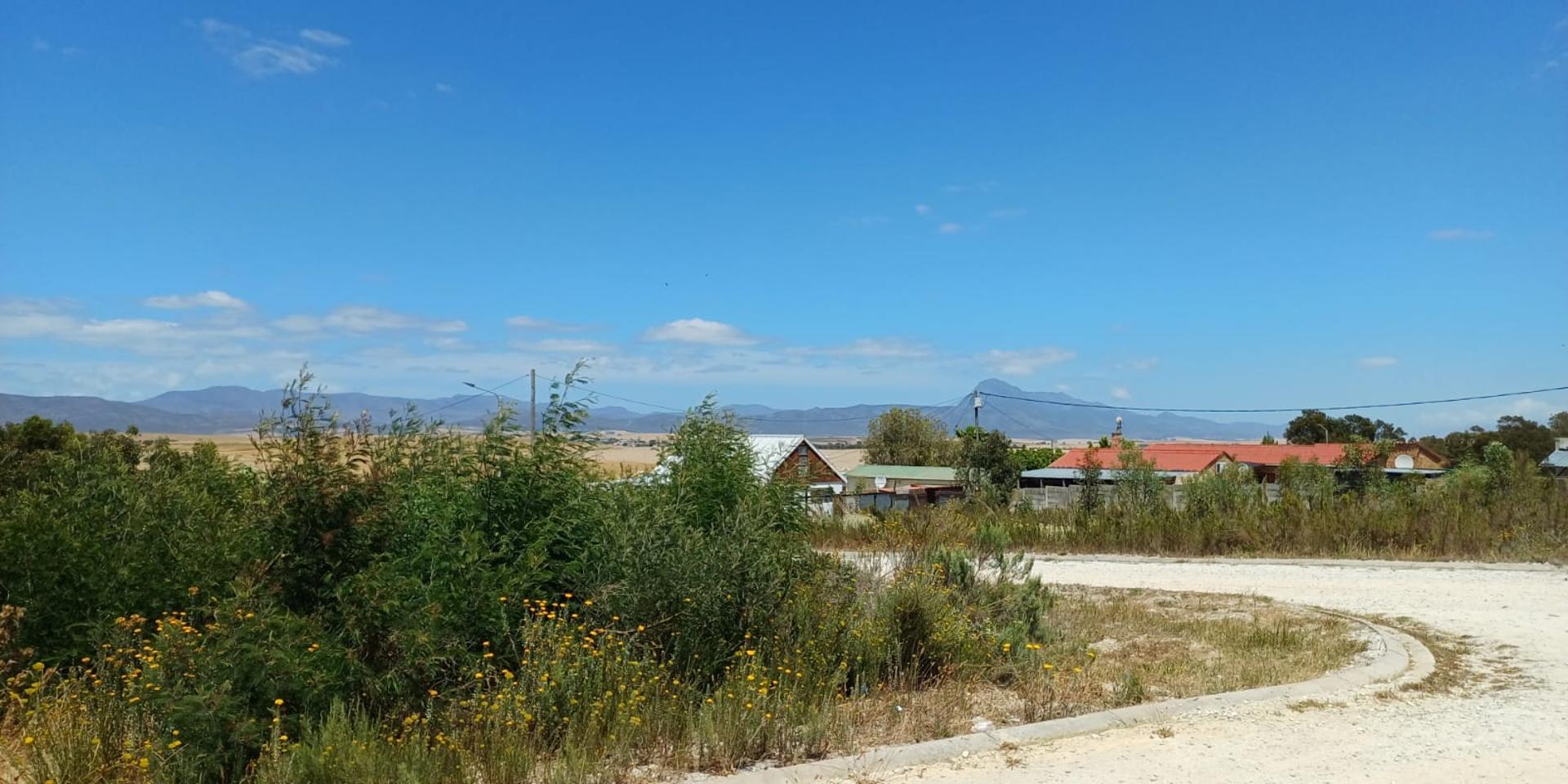 Image 5 of 6