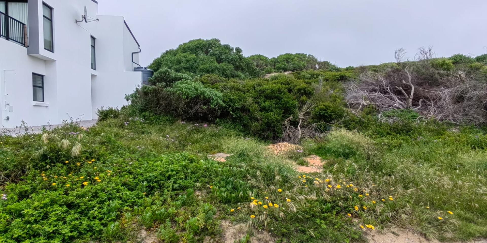 Image 5 of 6