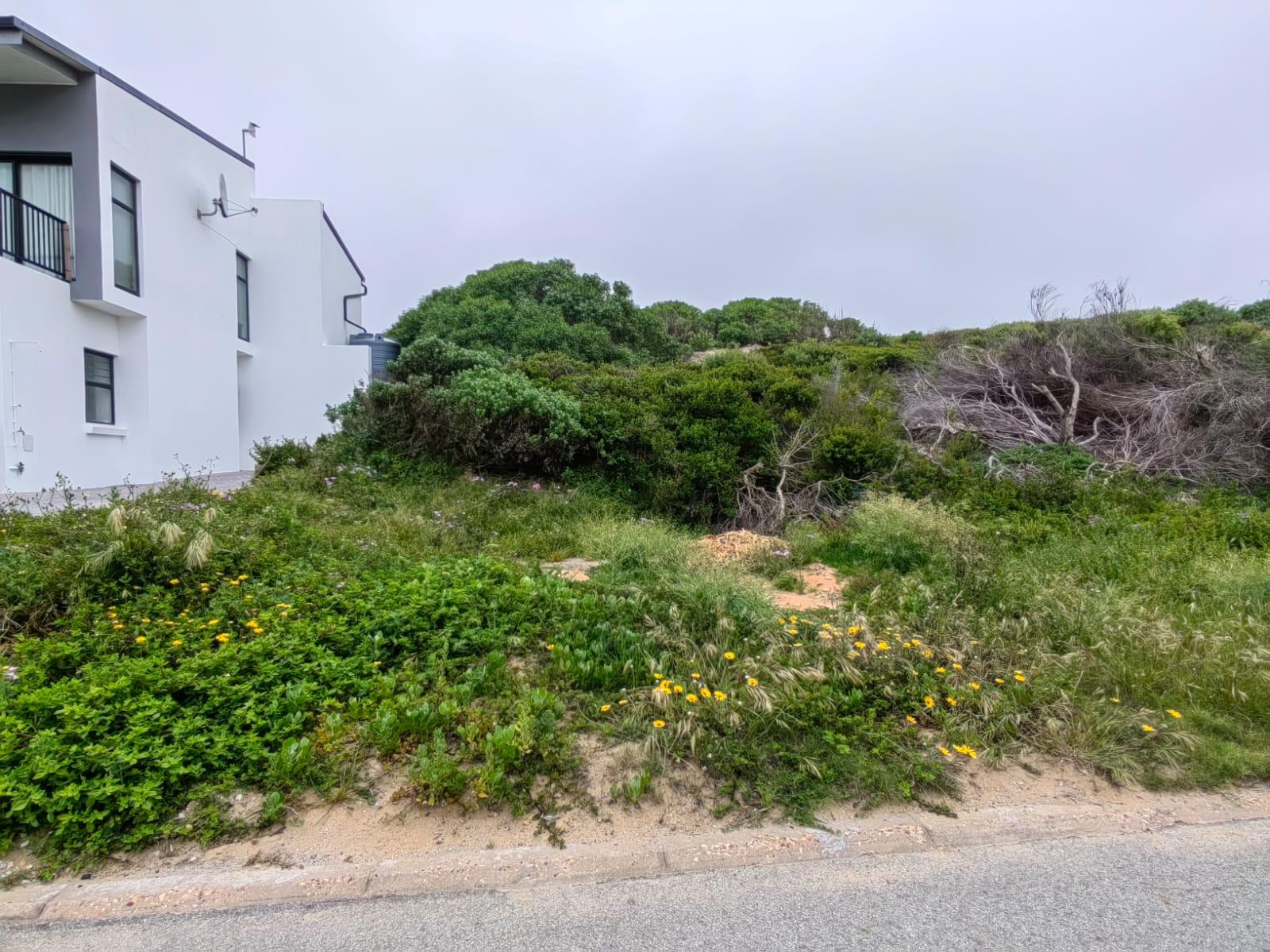 Image 5 of 6