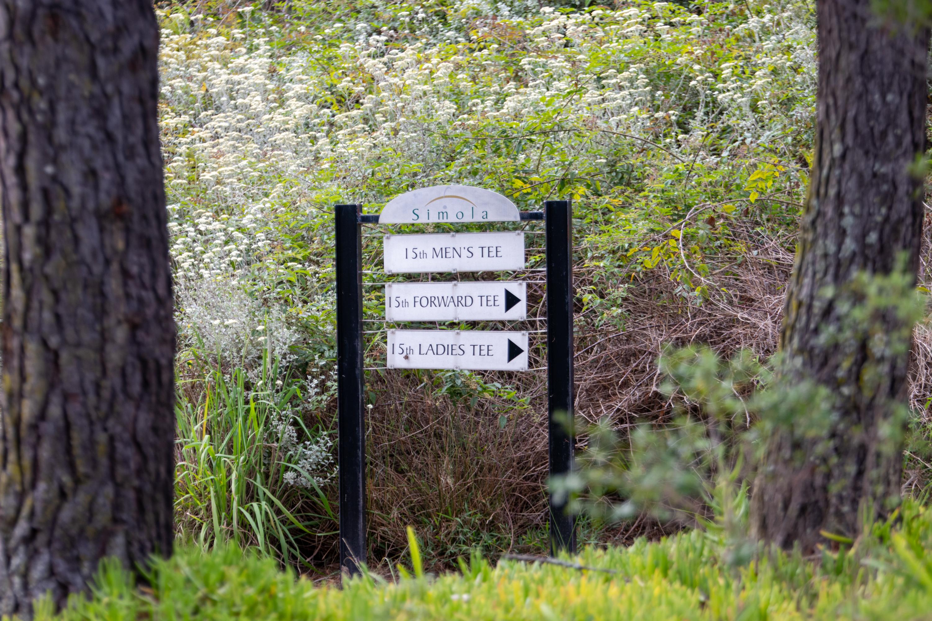 Image 72