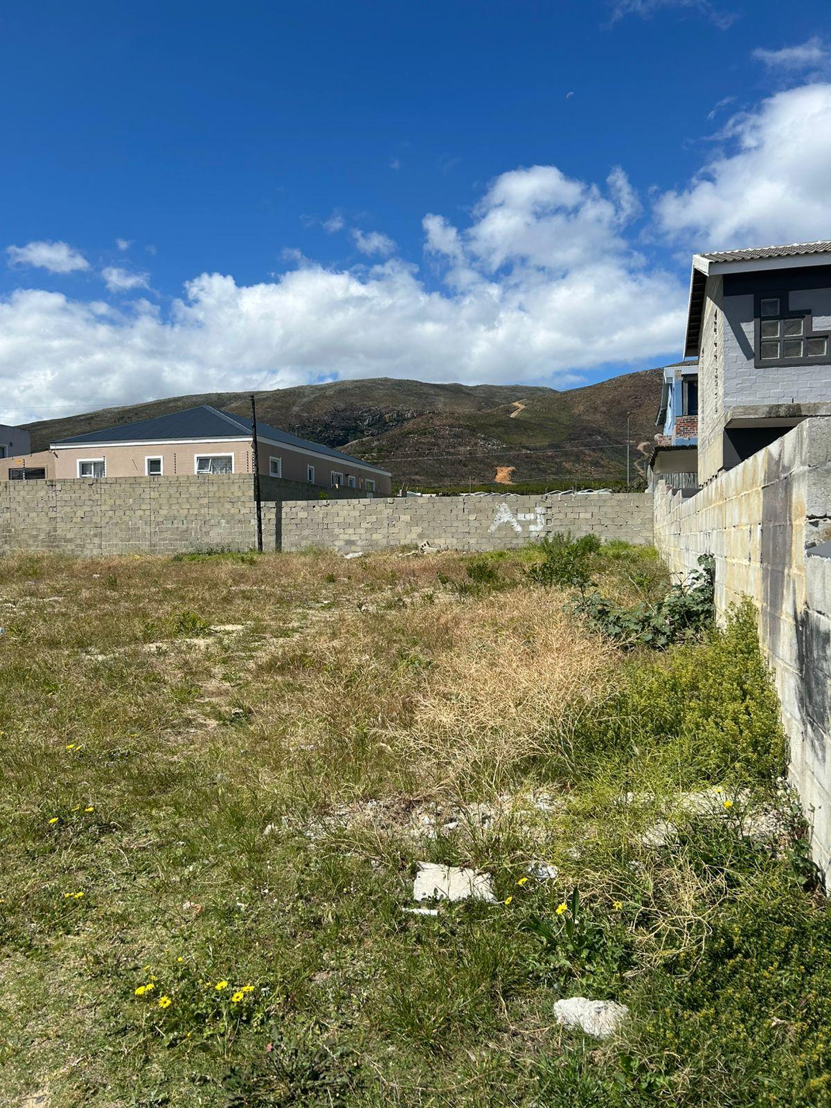 Image 4 of 6
