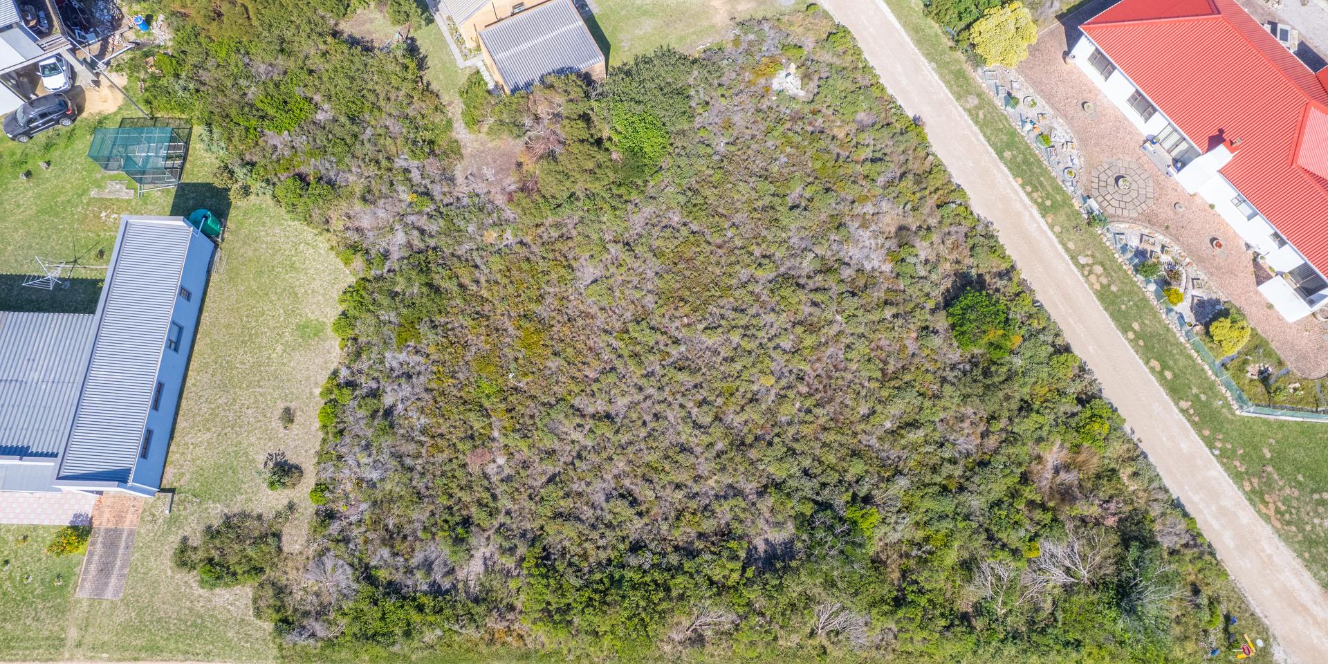 Image 5 of 6