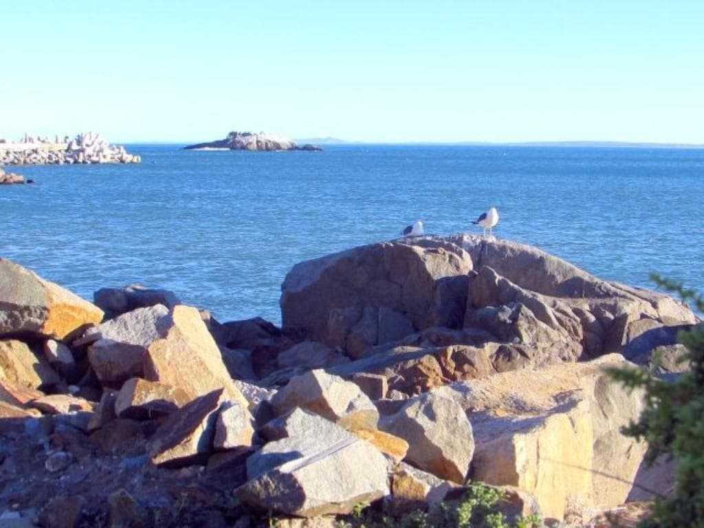 Image 12