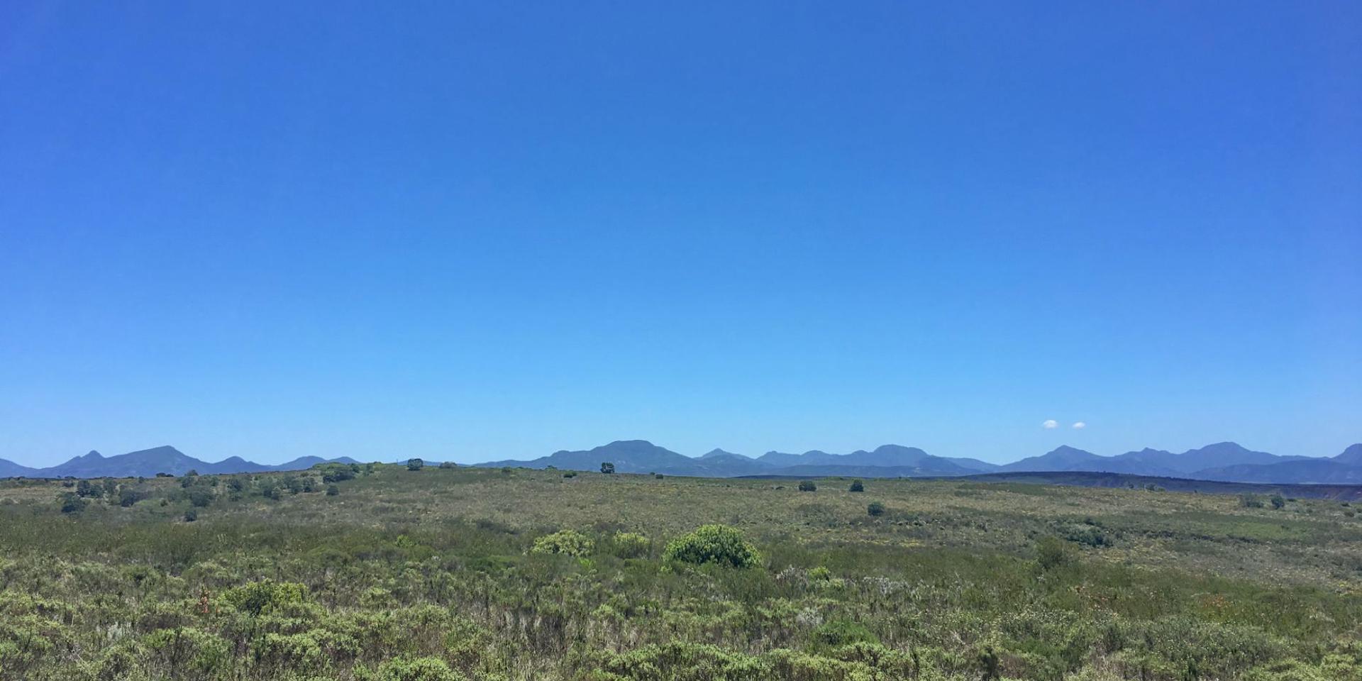 Image 4 of 6