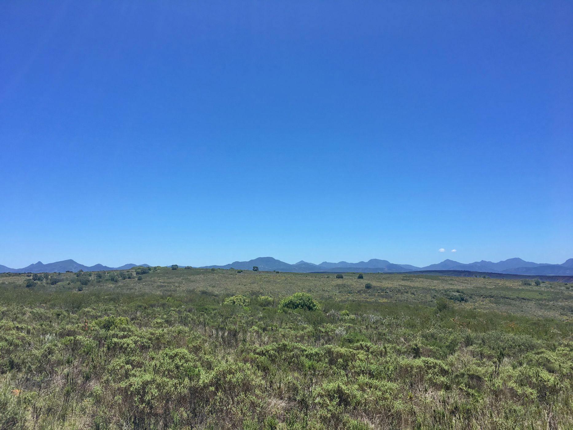 Image 4 of 6