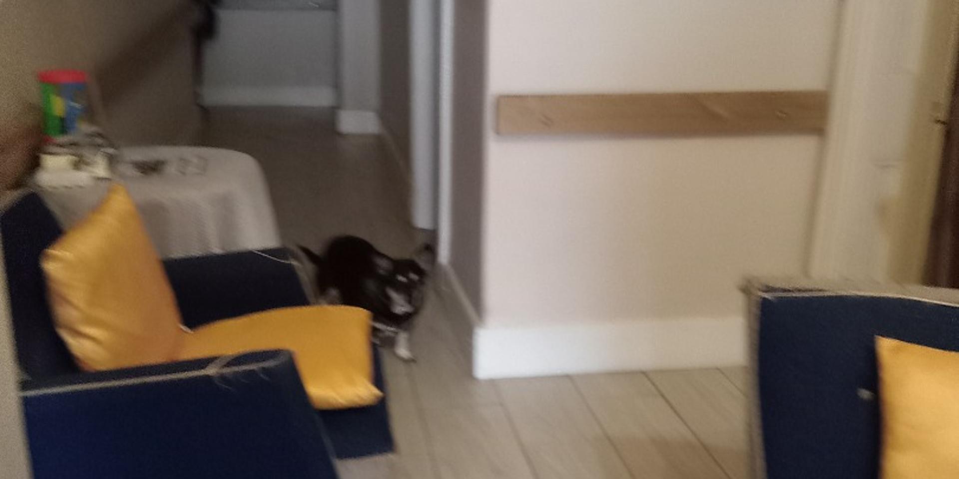 Image 4 of 6