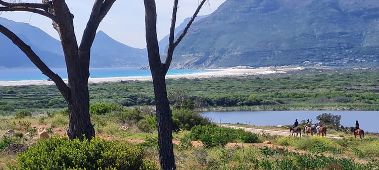 Main property image