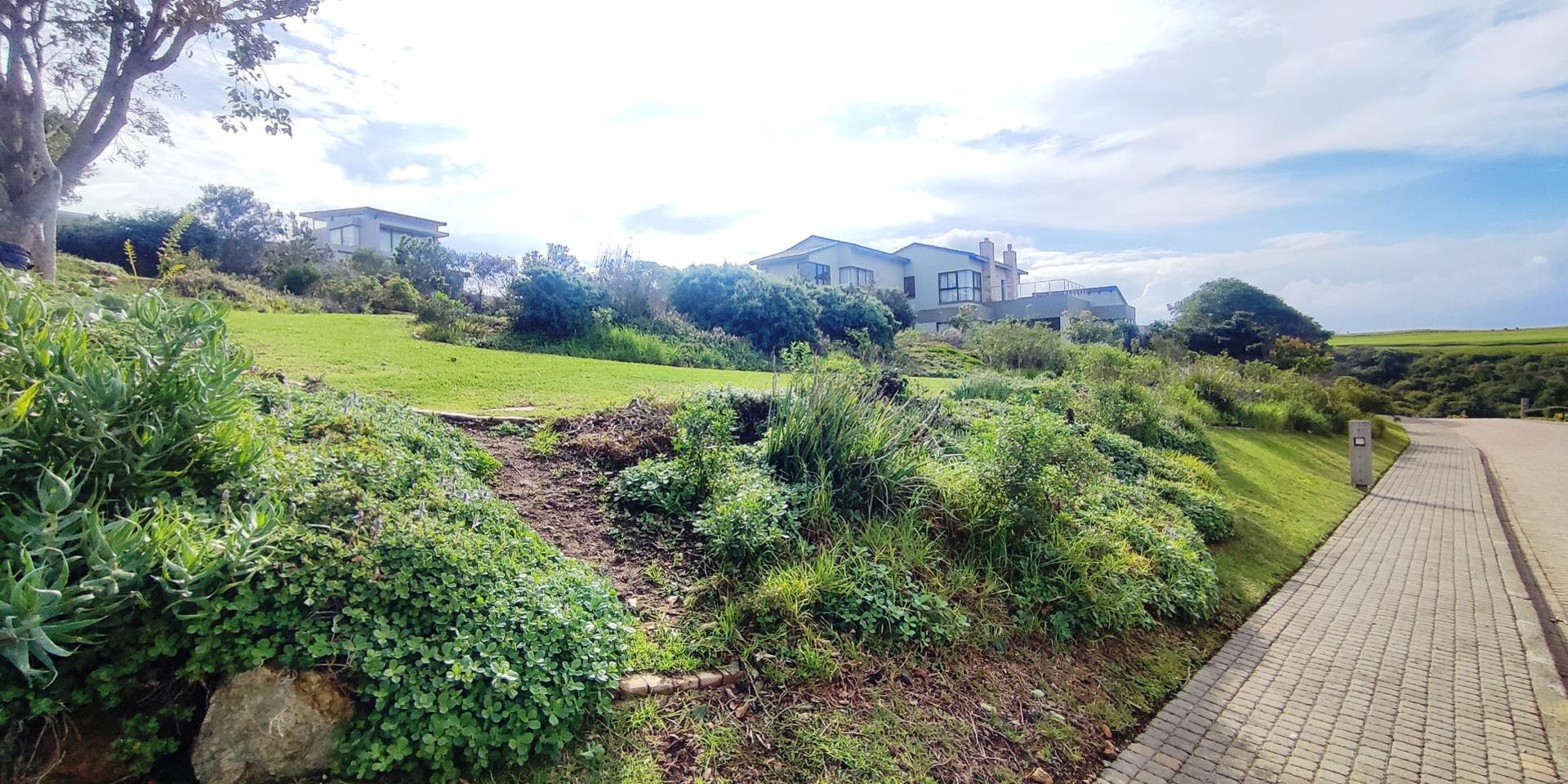 Image 2 of 6