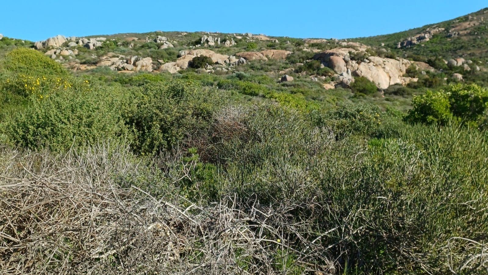 Image 14