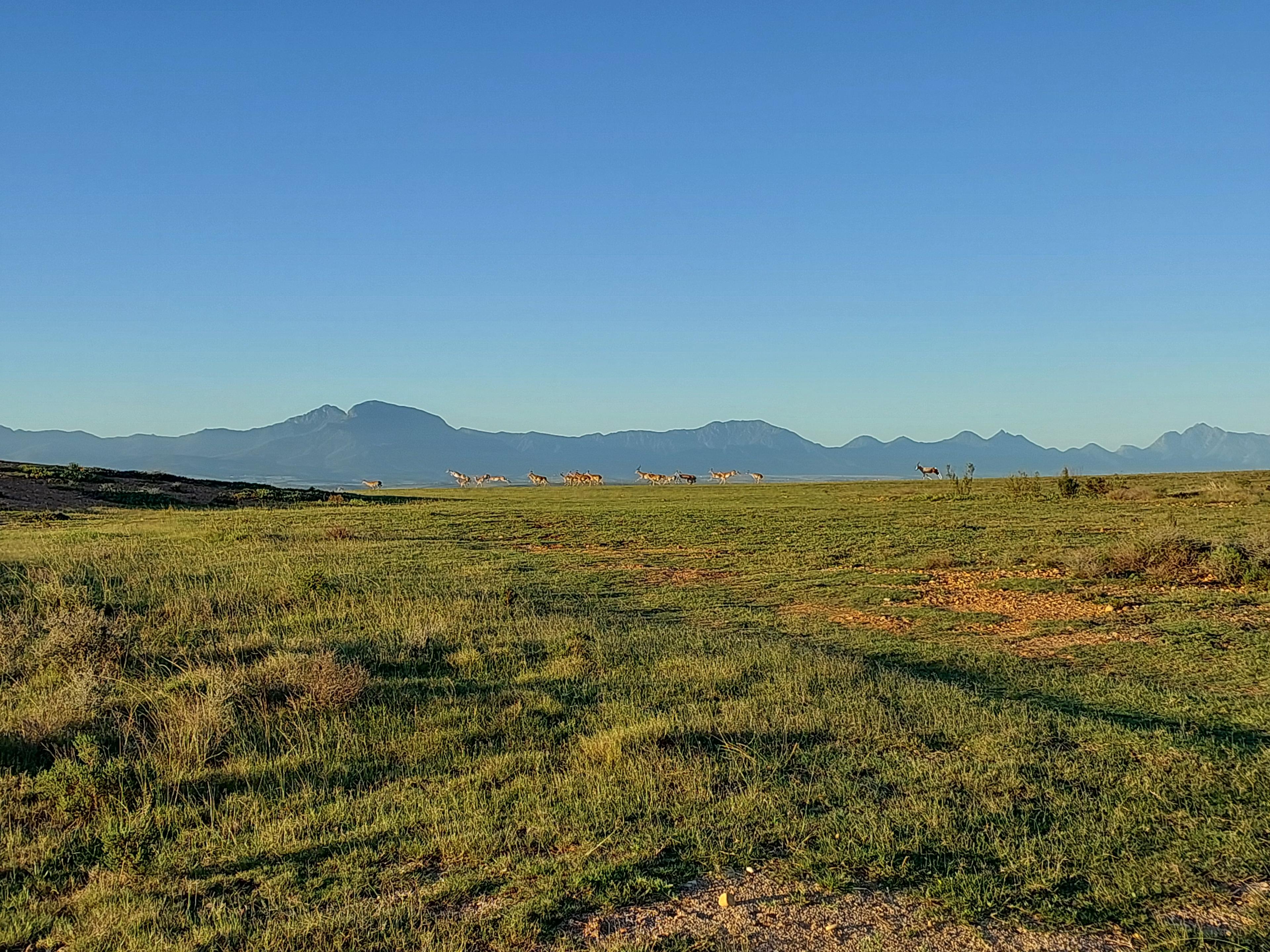 Image 12