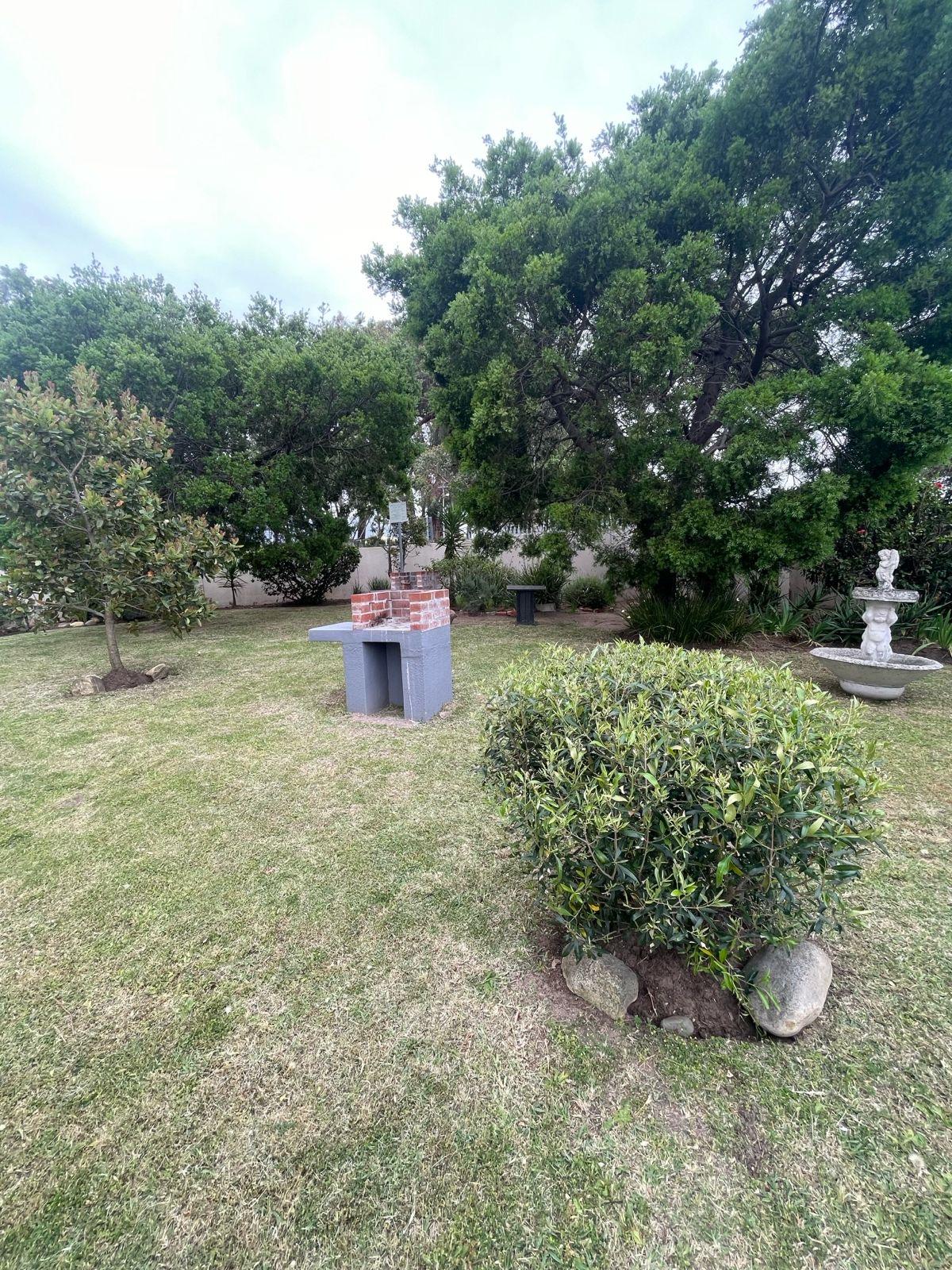 Image 13