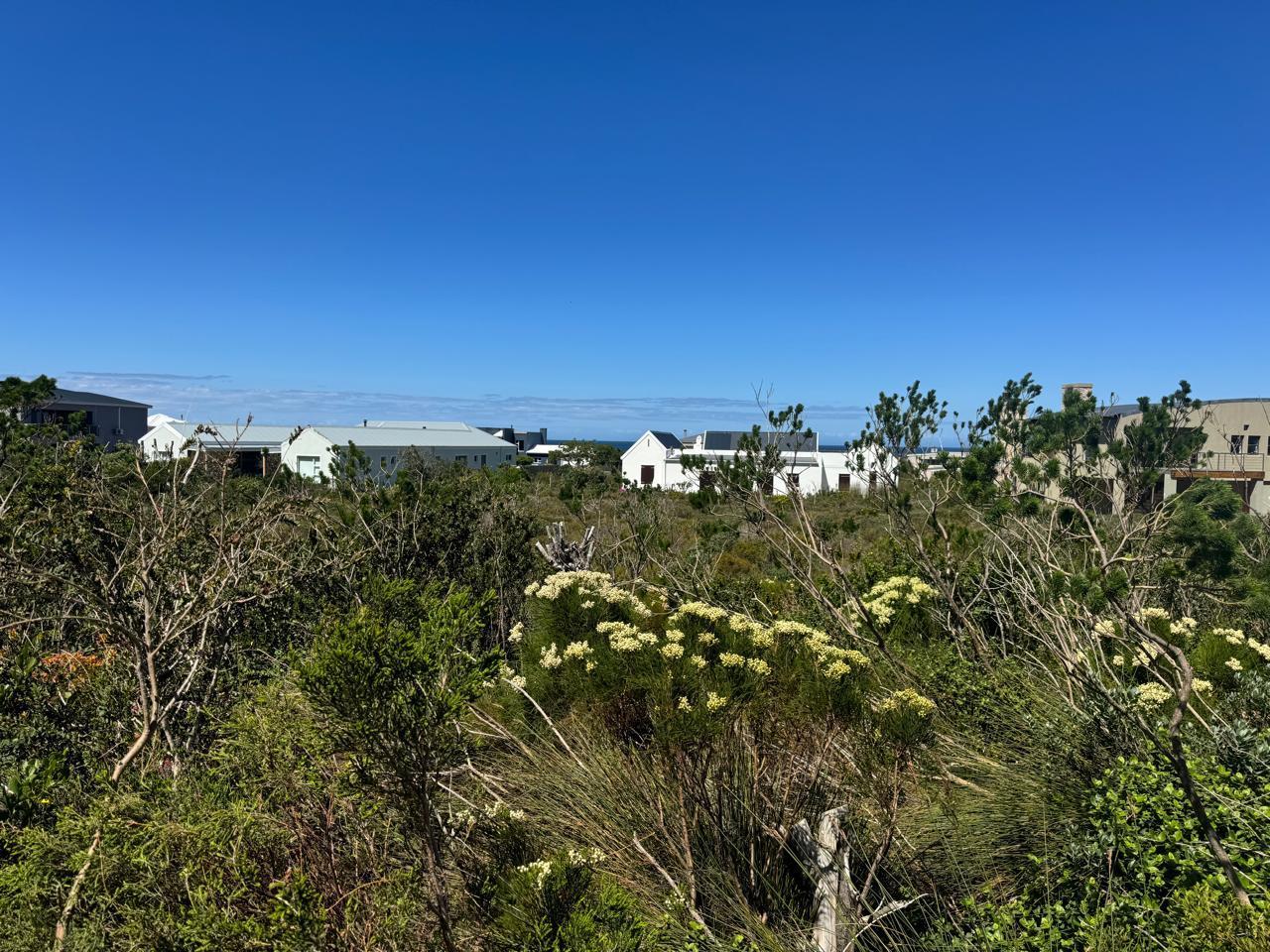 Image 3 of 6