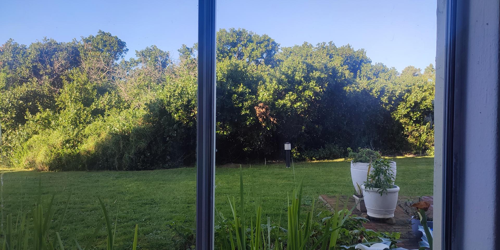Image 4 of 6
