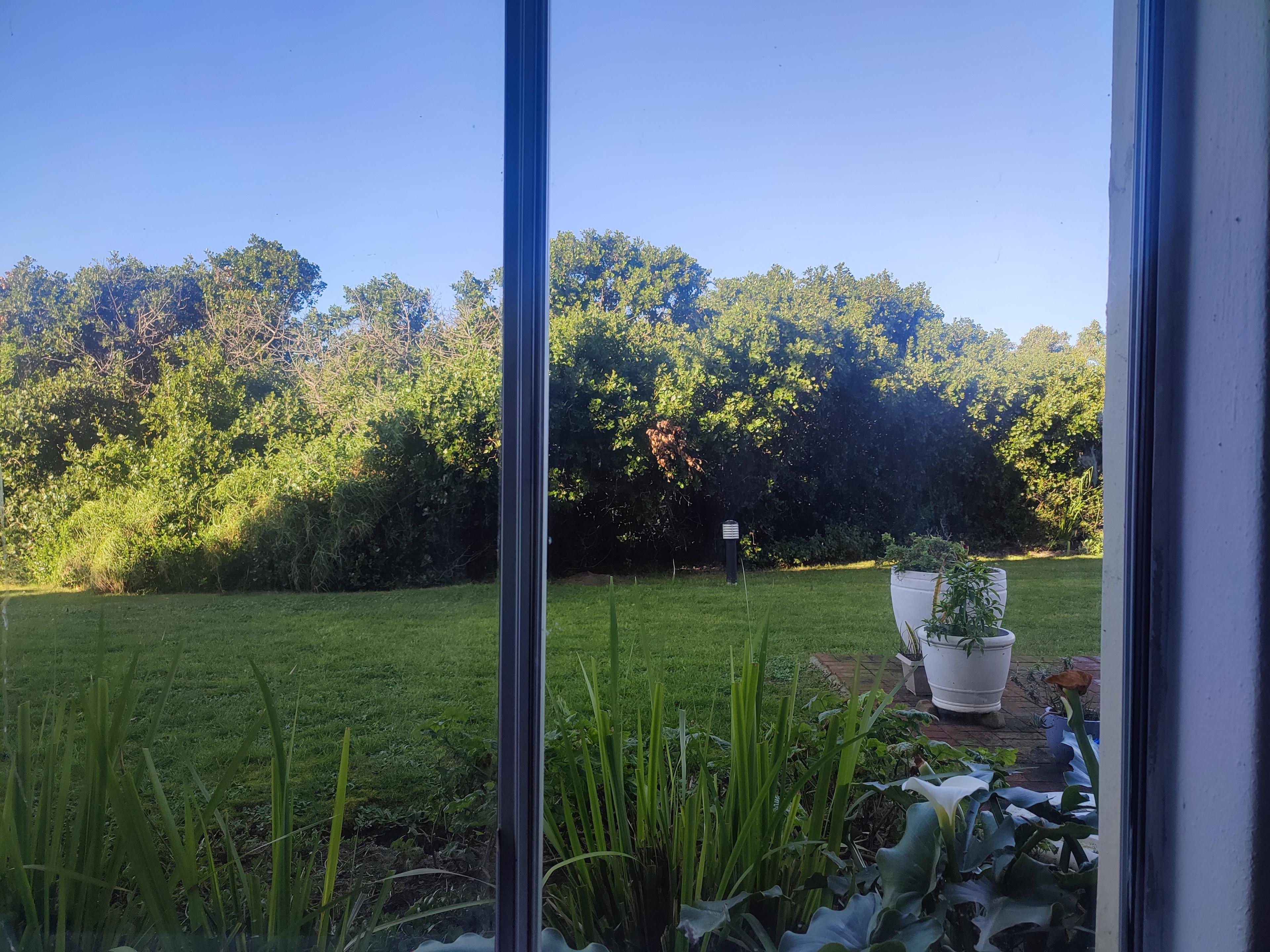 Image 4 of 6